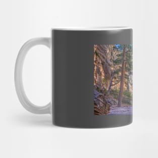 Lick Wash Trail Hike Mug